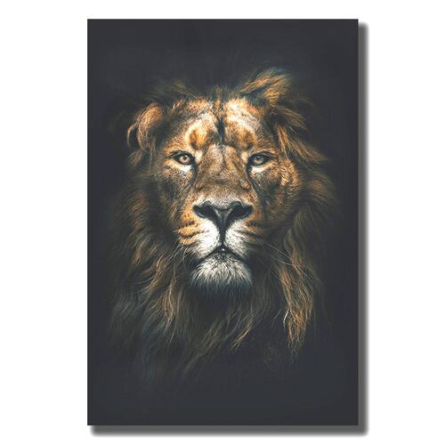 Cuadro Decorativo Leon con Fondo Negro  80 X 120 cm.