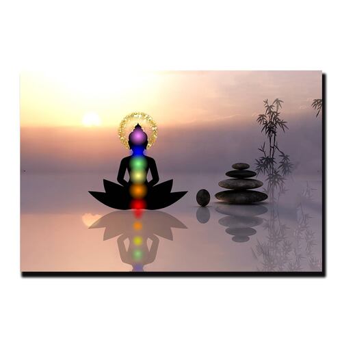 Cuadro Decorativo Holistico Leon y Colores Chakras 90 X 60.