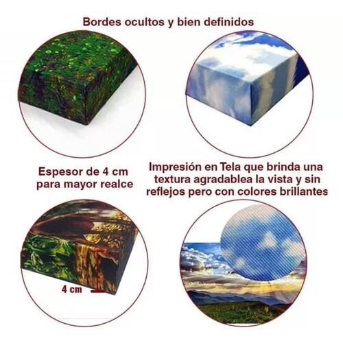 Cuadro Decorativo Holistico Leon y Colores Chakras 90 X 60.