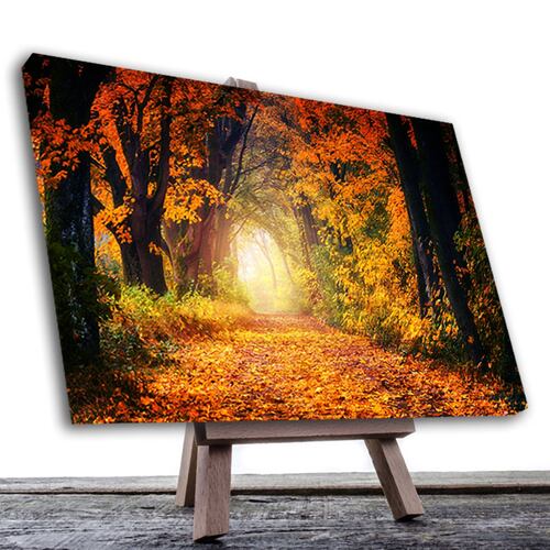 Cuadro Decorativo Colores Otoñales Con Arboles # 20 60 X 40