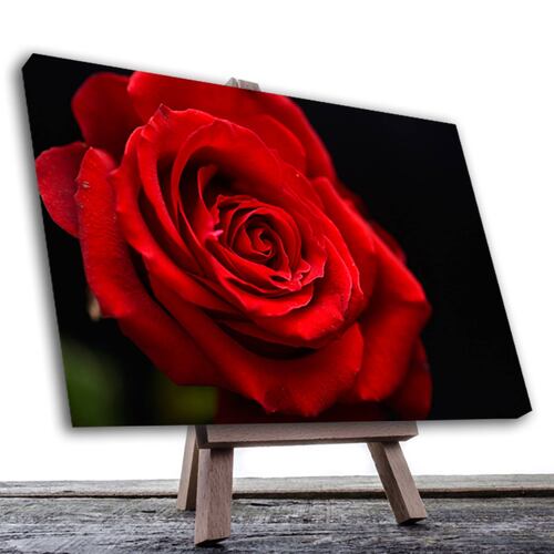 Cuadro Decorativo Rosa Blanco Y Negro Con Vivos Rojos #37 60 X 40
