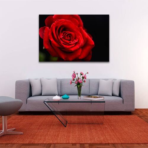Cuadro Decorativo Rosa Blanco Y Negro Con Vivos Rojos #37 60 X 40