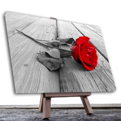 Cuadro Decorativo Rosa Blanco Y Negro Con Vivos Rojos #35 90 X 60.