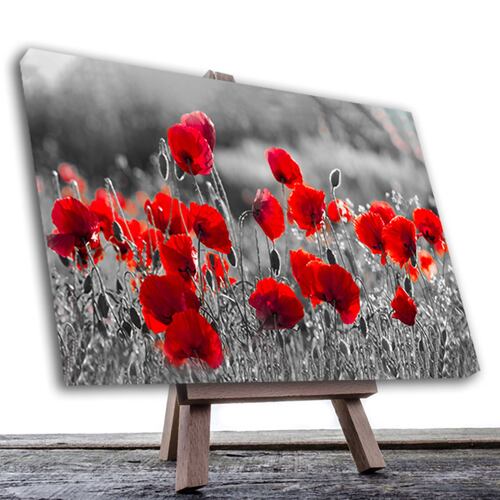 Cuadro Decorativo Campo Flores Blanco Y Negro Con Vivos Rojos #12 120 X 80.