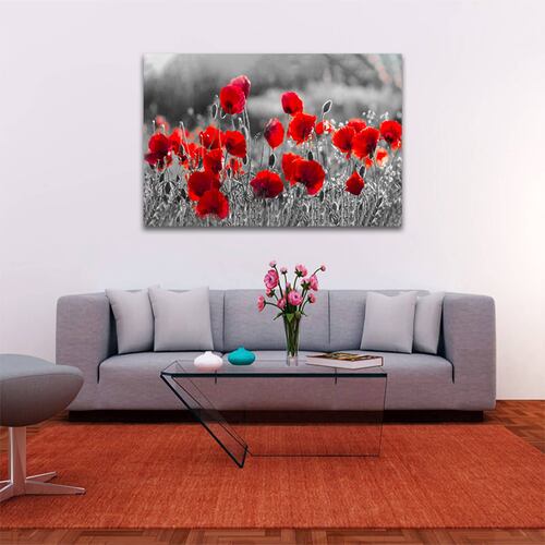 Cuadro Decorativo Campo Flores Blanco Y Negro Con Vivos Rojos #12 120 X 80.