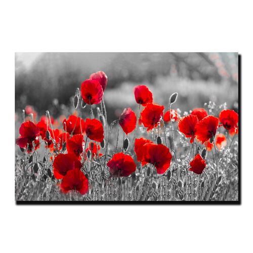 Cuadro Decorativo Campo Flores Blanco Y Negro Con Vivos Rojos #12 120 X 80.