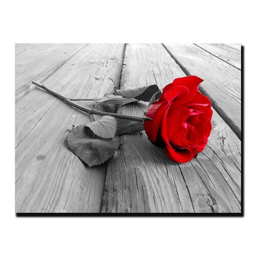 Cuadro Decorativo Rosa Blanco Y Negro Con Vivos Rojos #35 120 X 80.