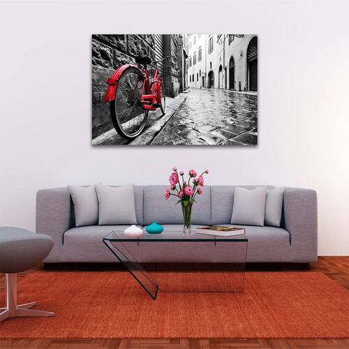 Cuadro Decorativo Bicicleta Blanco Y Negro Con Vivos Rojos #6 45 X 30