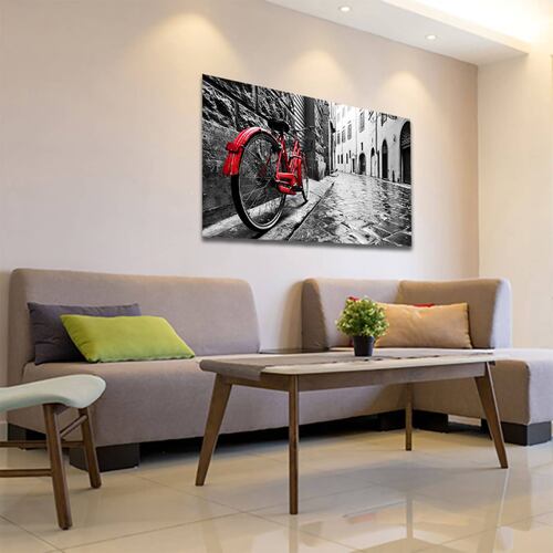Cuadro Decorativo Bicicleta Blanco Y Negro Con Vivos Rojos #6 45 X 30