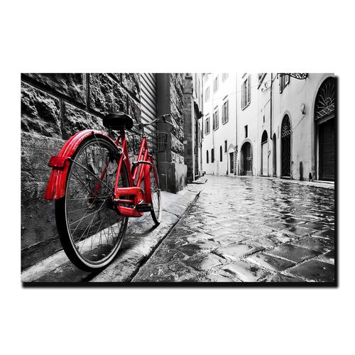 Cuadro Decorativo Bicicleta Blanco Y Negro Con Vivos Rojos #6 45 X 30