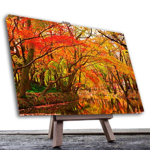 Cuadro Decorativo Colores Otoñales Con Arboles # 19 135 X 90.