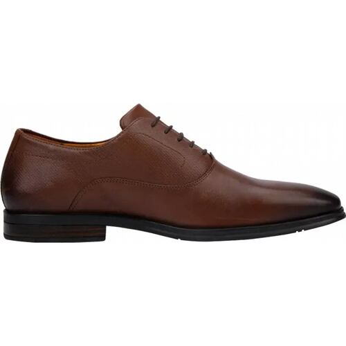 Choclo vestir caballero cafe piel Flexi modelo 3602