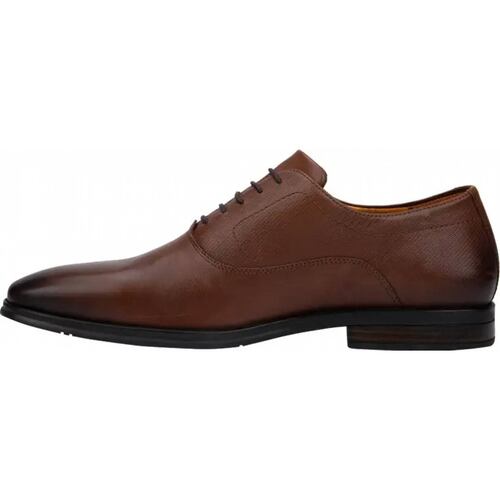 Choclo vestir caballero cafe piel Flexi modelo 3602