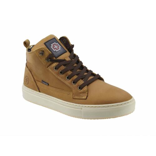 Sneaker Hig Top Swissbrand Olten 291 Camel Hombre