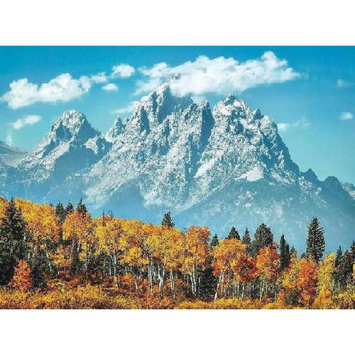 Grand Teton En Otoño, Rompecabezas 500 Piezas 