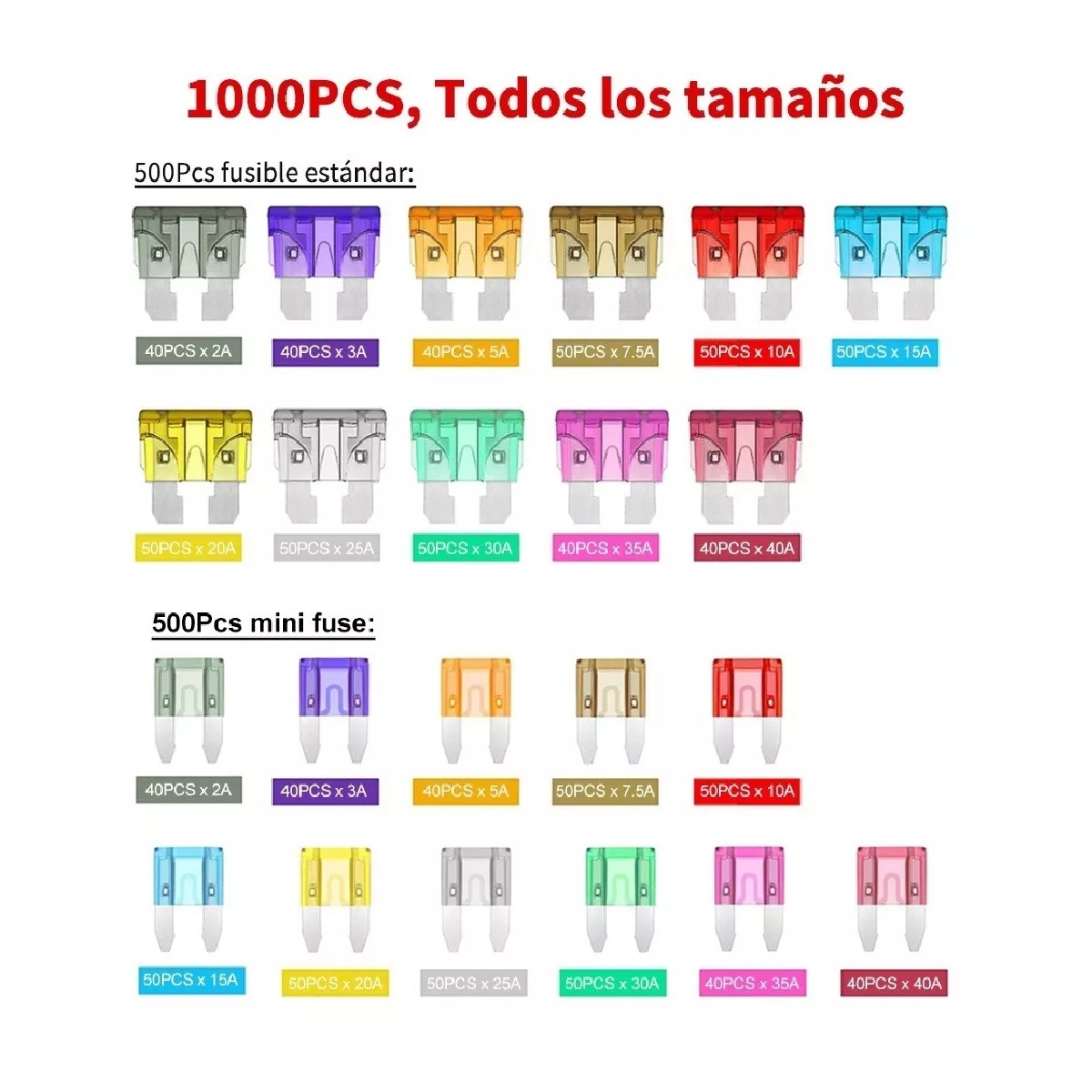 Kit 1000 Piezas Fusibles Coche Automotriz Con Caja.