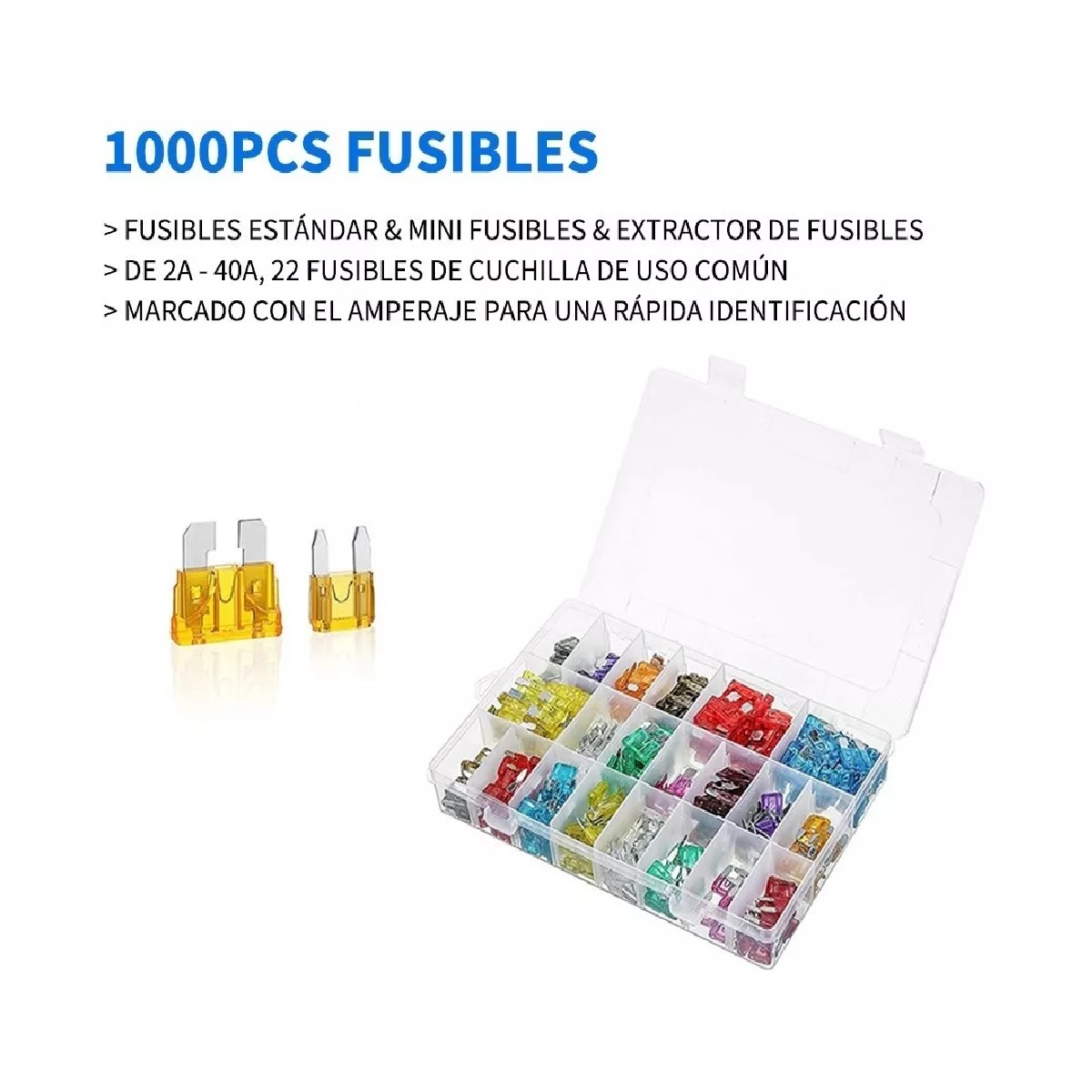 Kit 1000 Piezas Fusibles Coche Automotriz Con Caja.