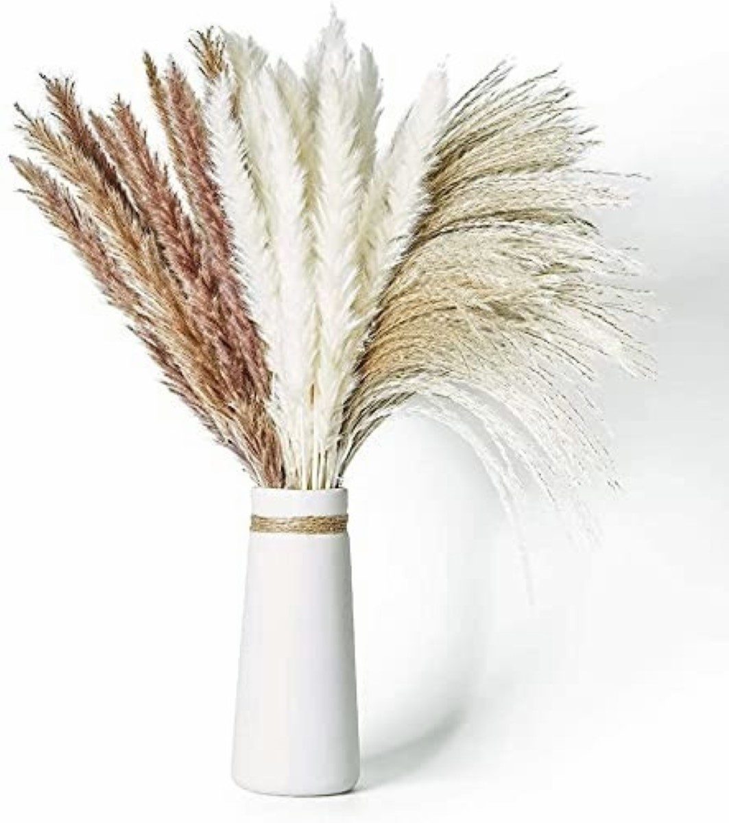Pampas Secas 30pcs Plantas Decorativas Flores Artificiales 15Blanco+15Rojo 30Pcs