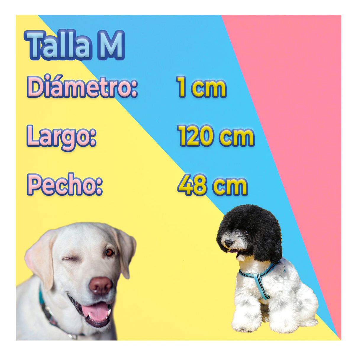 Kit de Arnes y Correa Para Mascotas Talla M Roja.