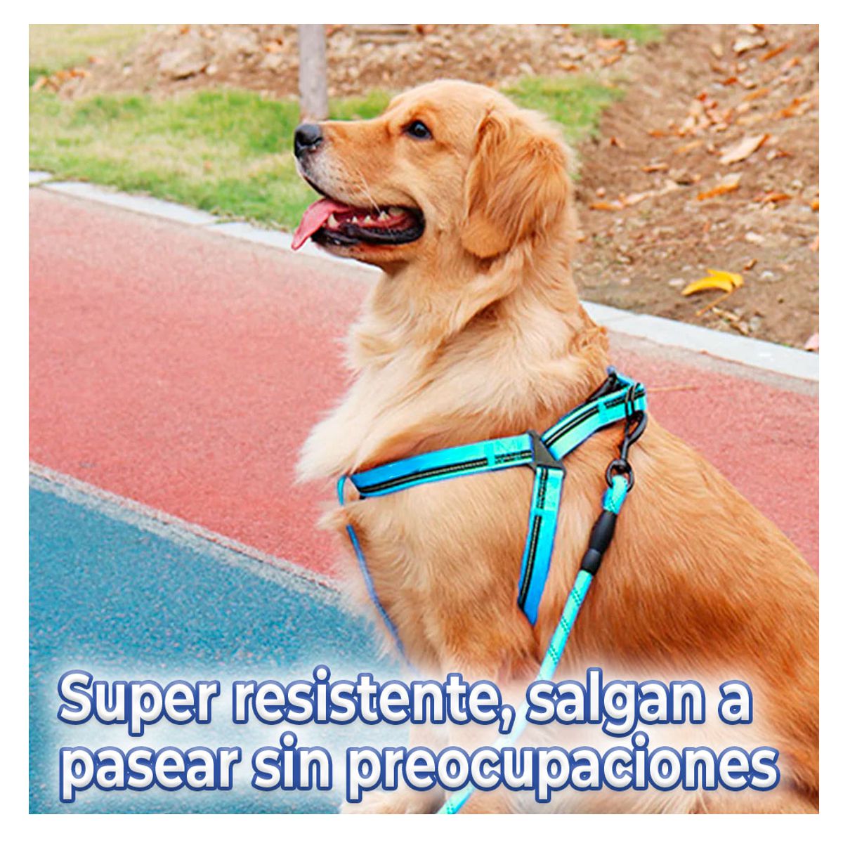 Kit de Arnes y Correa Para Mascotas Talla M Roja.