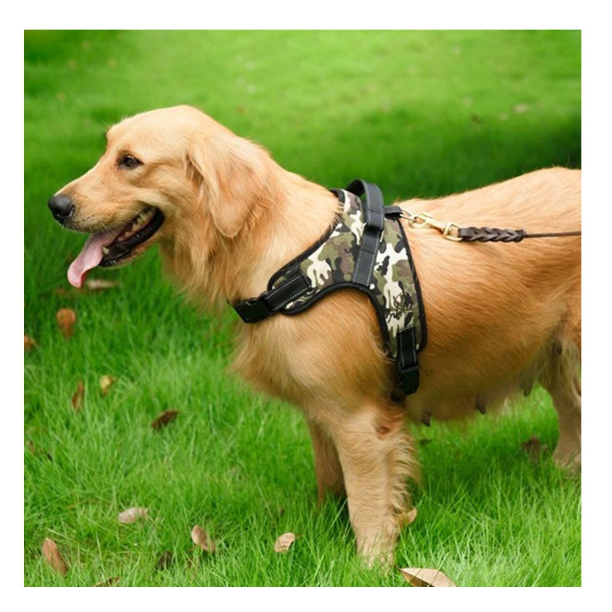Pechera Pretal Talla L Para Perro Color Camuflaje.