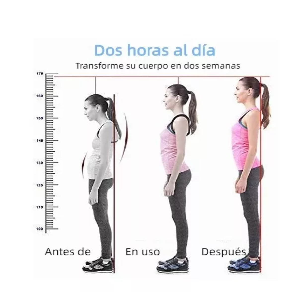 Faja Ajustables De Corrección De La Postura De La Joroba XL.