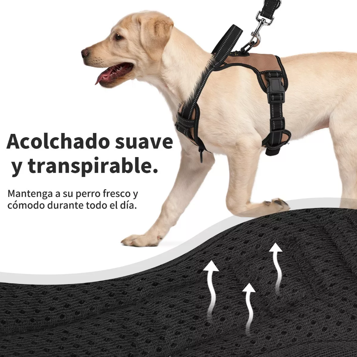 Pechera Arnés Para Perro Regulable Con Bandas Reflectivas S Caqui.