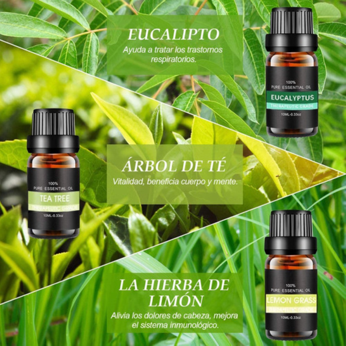 "Kit De 12 Aceites Esenciales Aromaterapia 100% Puro 10ml Spa "