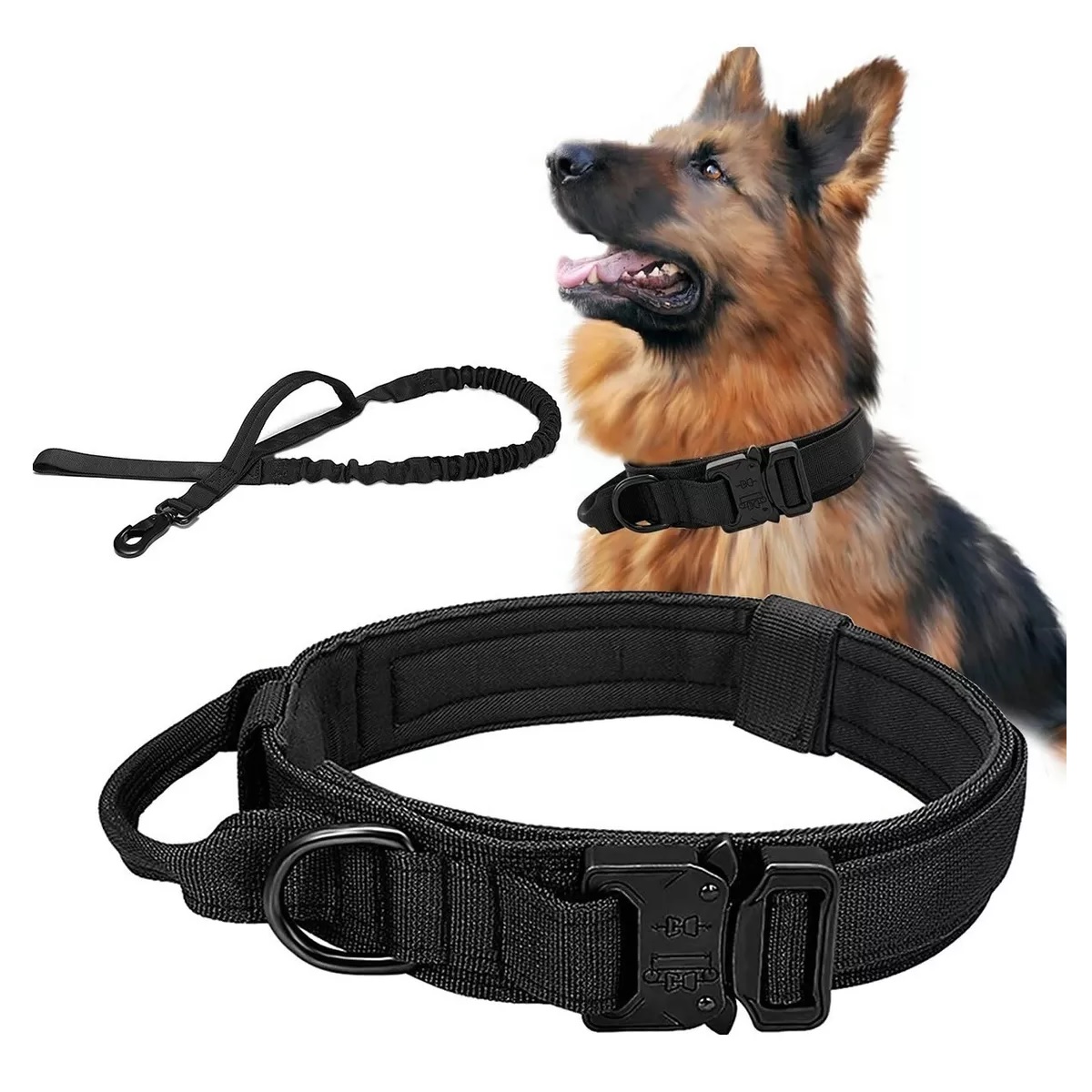 Collar Táctico De Perro Hebilla Metálica Ajustable+correa Balck M.