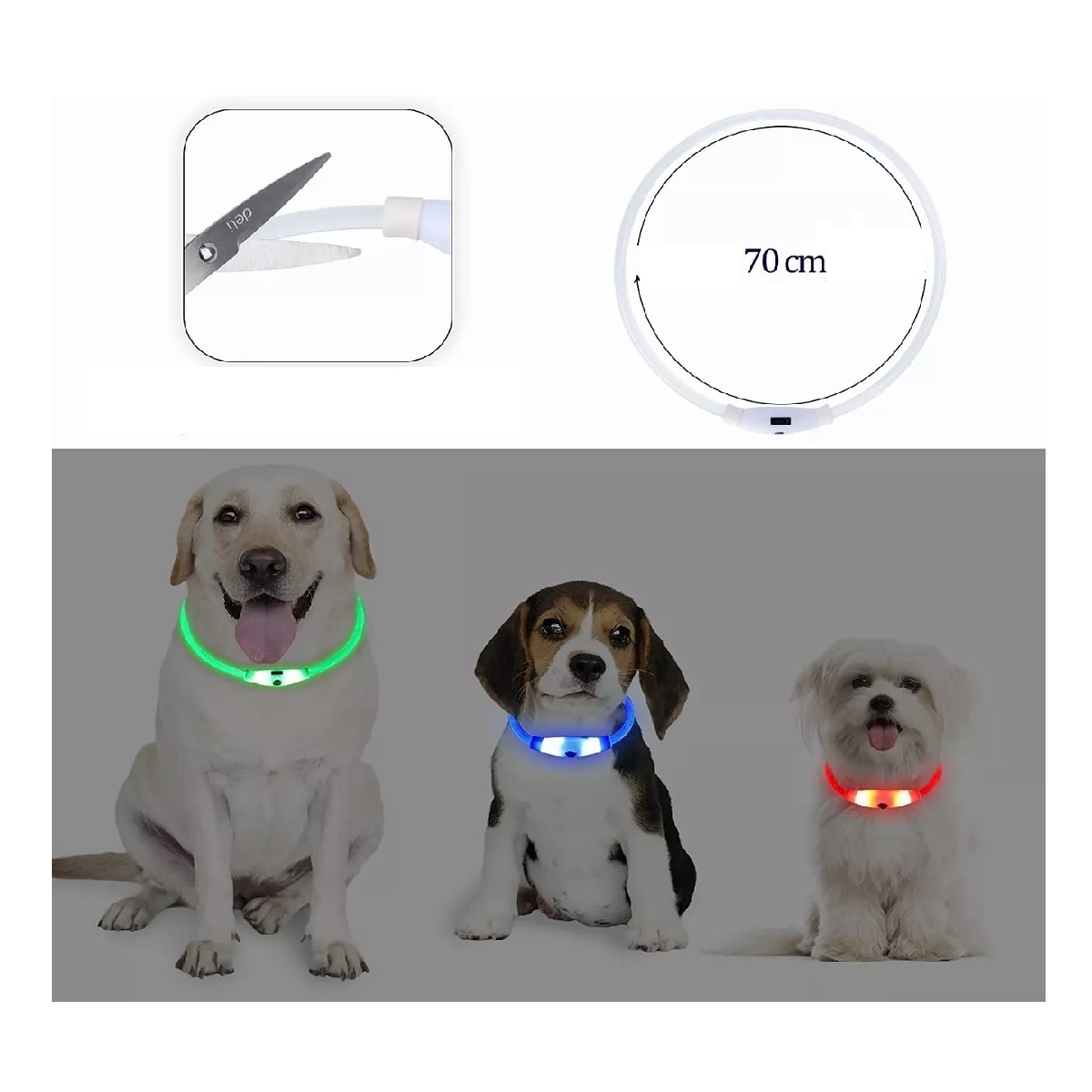 Collar Para Perros Luz Led Recargable Luminoso Mascota.