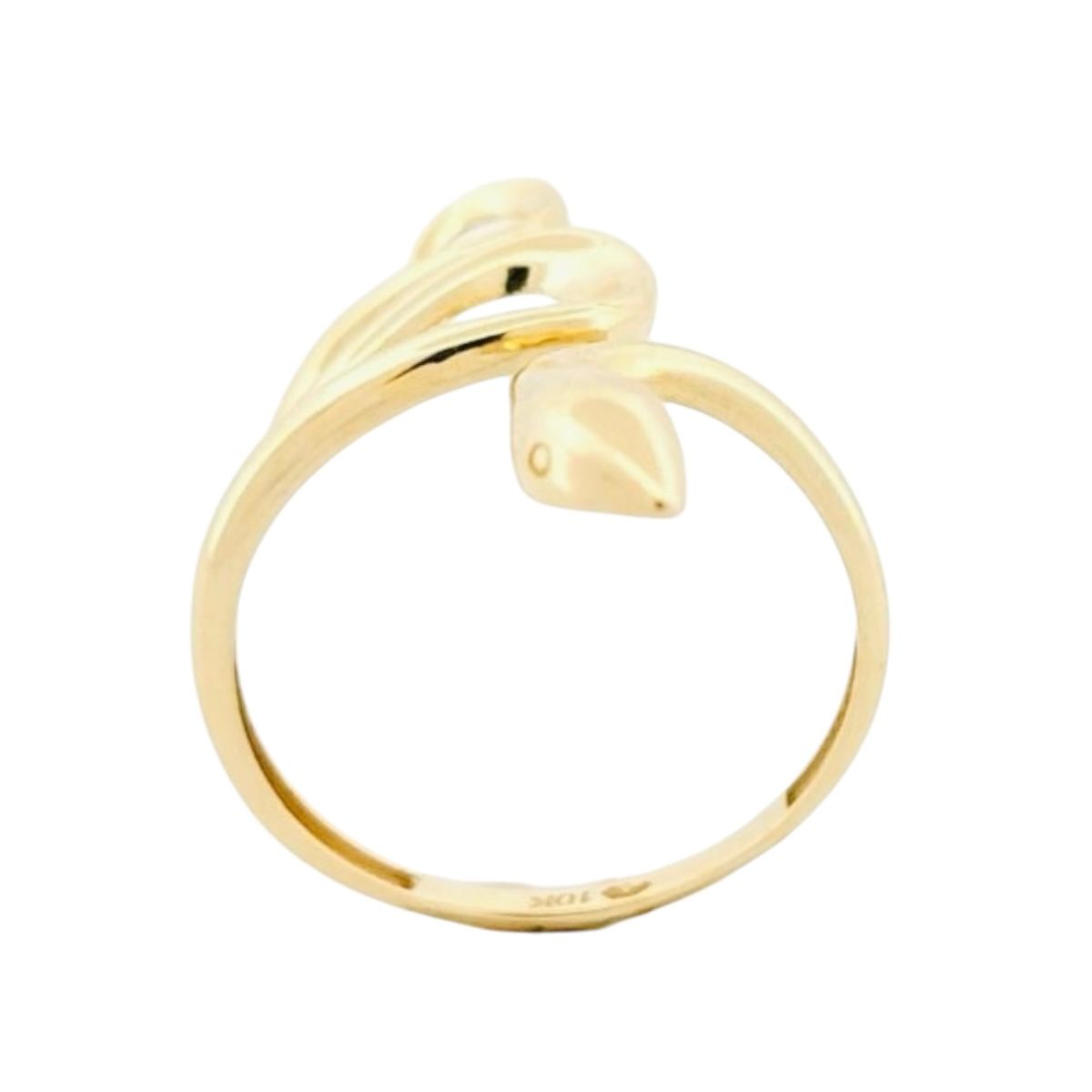 Anillo Serpiente Larga Liso Oro 10 K + Obsequio.