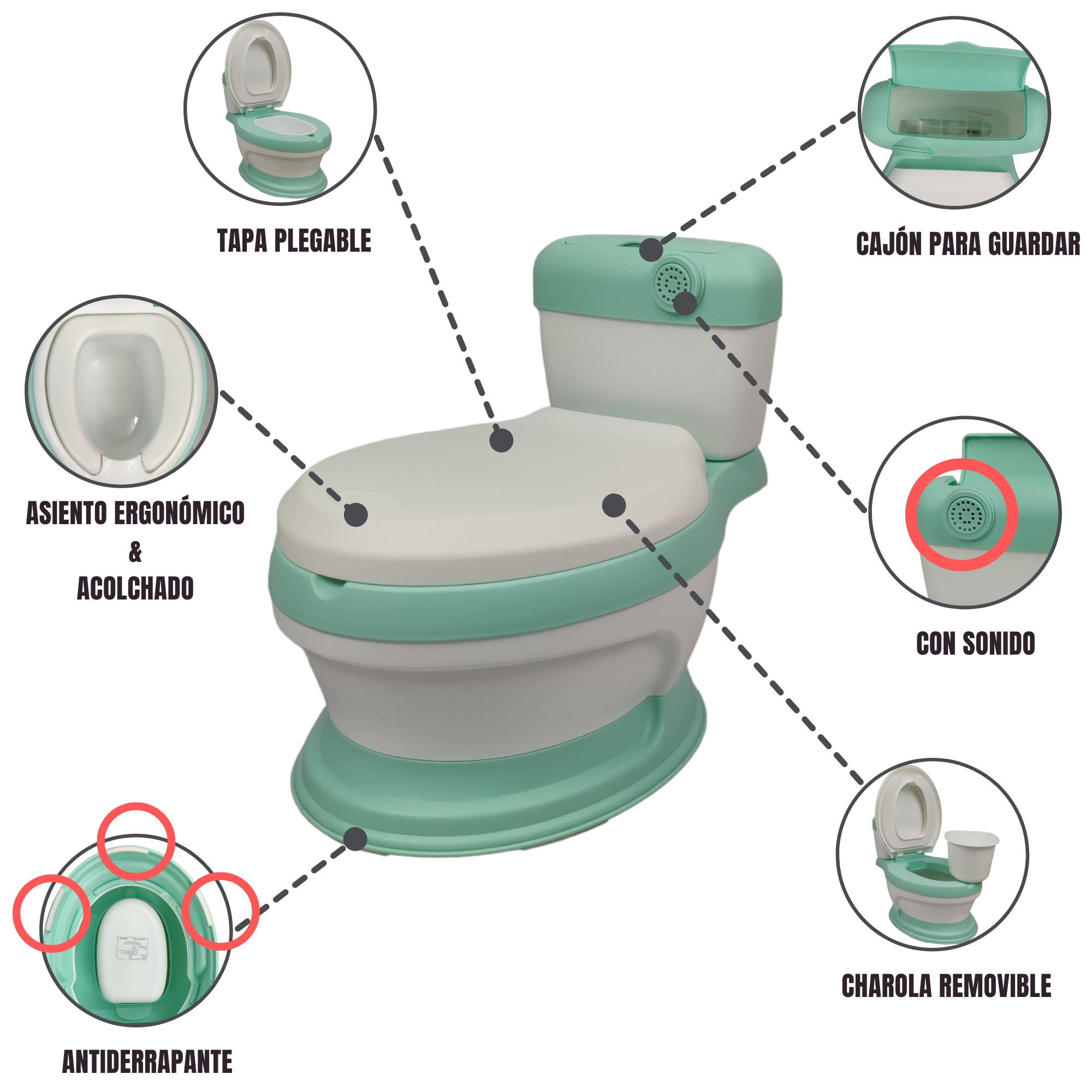 Baño entrenador Acojinado con Sonido y Antiderrapante - Verde.