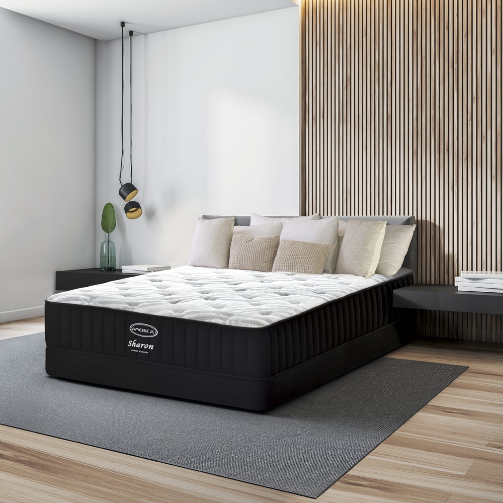 Colchon America Sharon Queen Size + 2 Almohadas de Regalo.