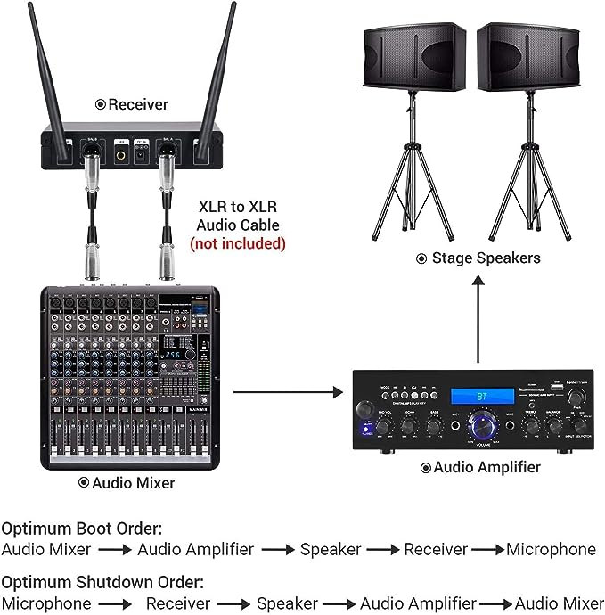A TONOR Micrófono Inalámbrico Dual Sistema de Micrófono Inalámbrico de Mano Profesional UHF, Set KTV Hogar para Karaoke, DJ, Fiesta, 60 Metros, TW820, Gris.