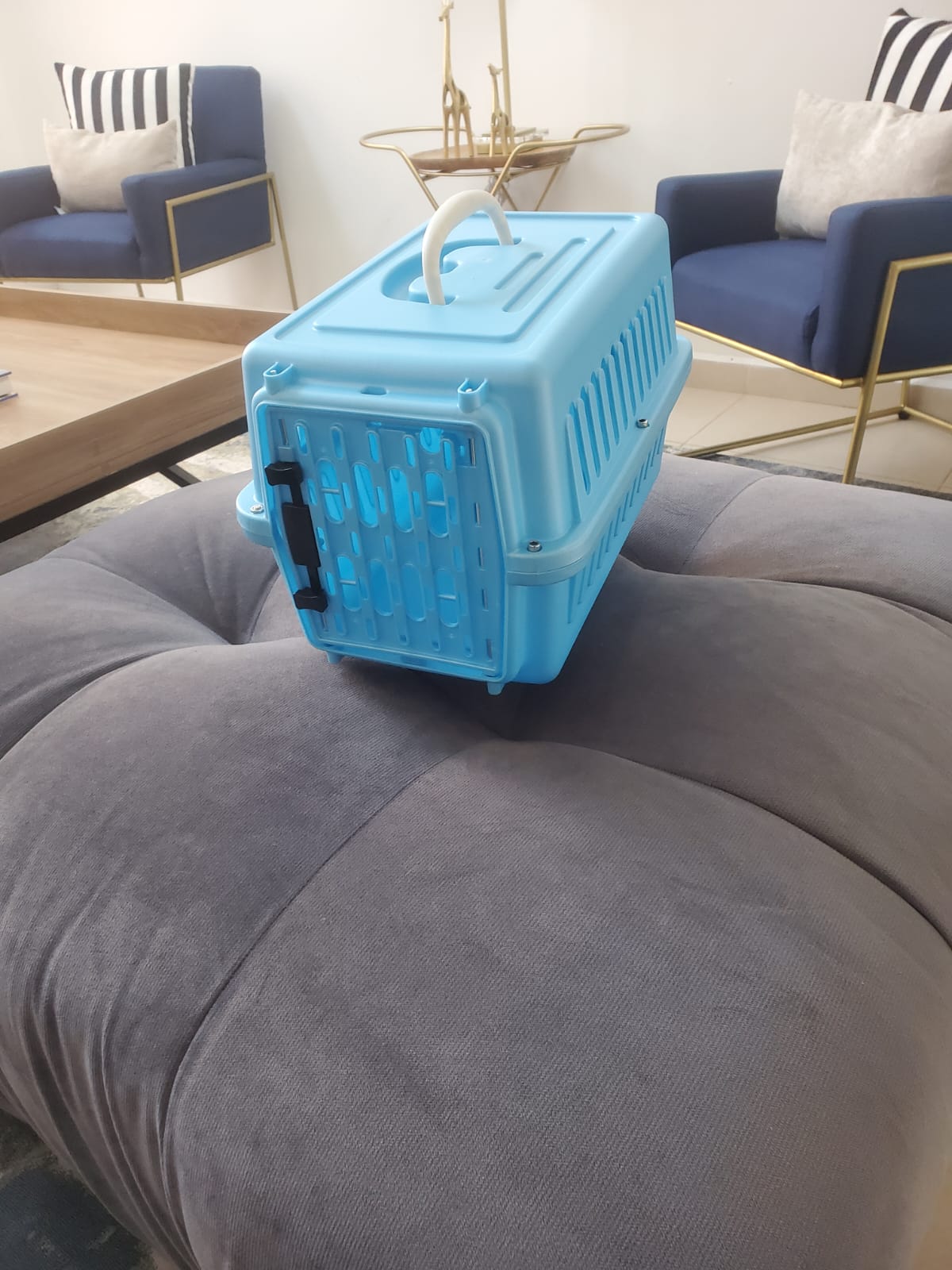 Caja Transportadora Para Mascotas, Perro Pequeño O Gato.