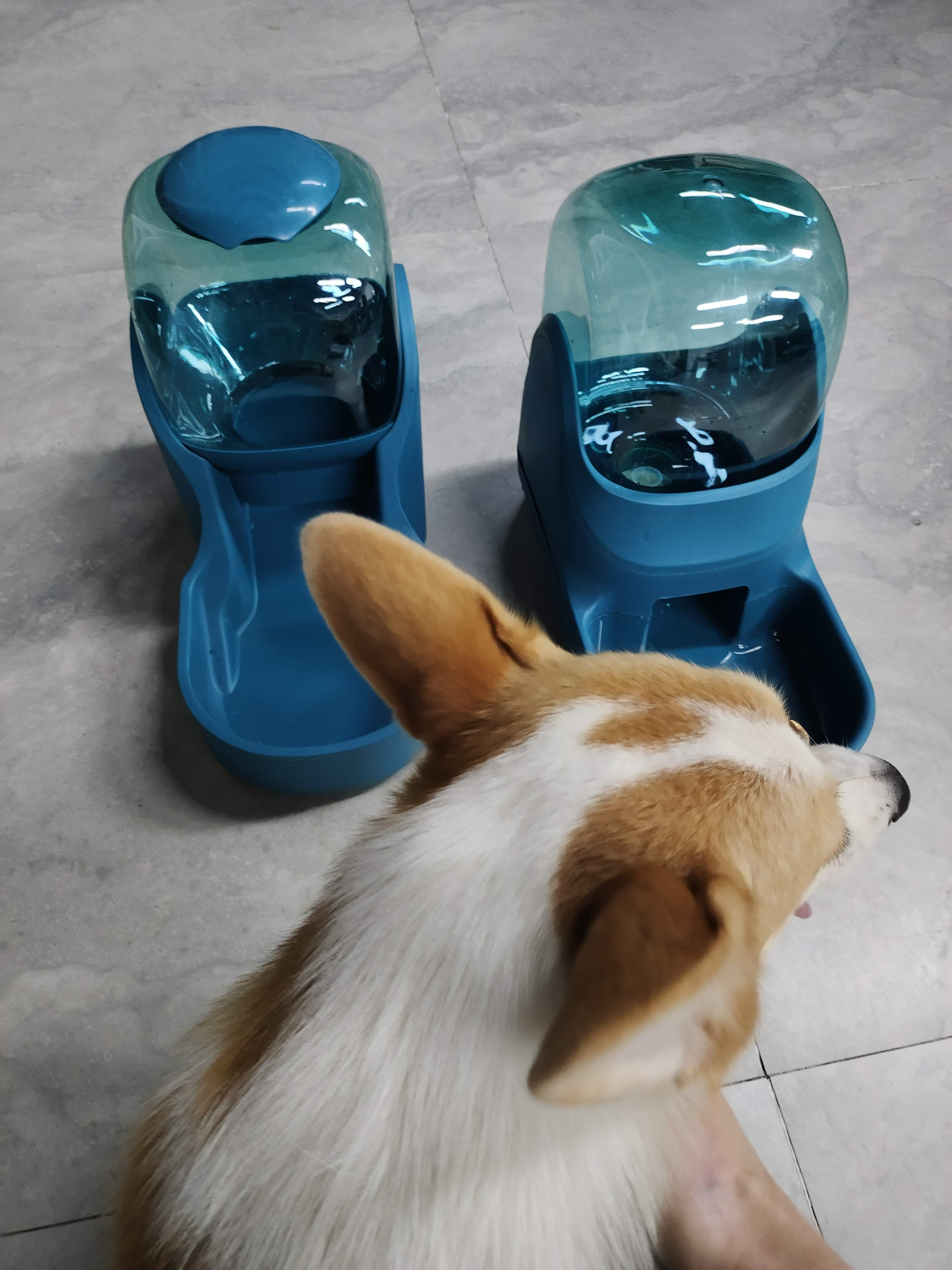 Dispensador De Comida Y Agua Para Mascota Premium De Lujo.