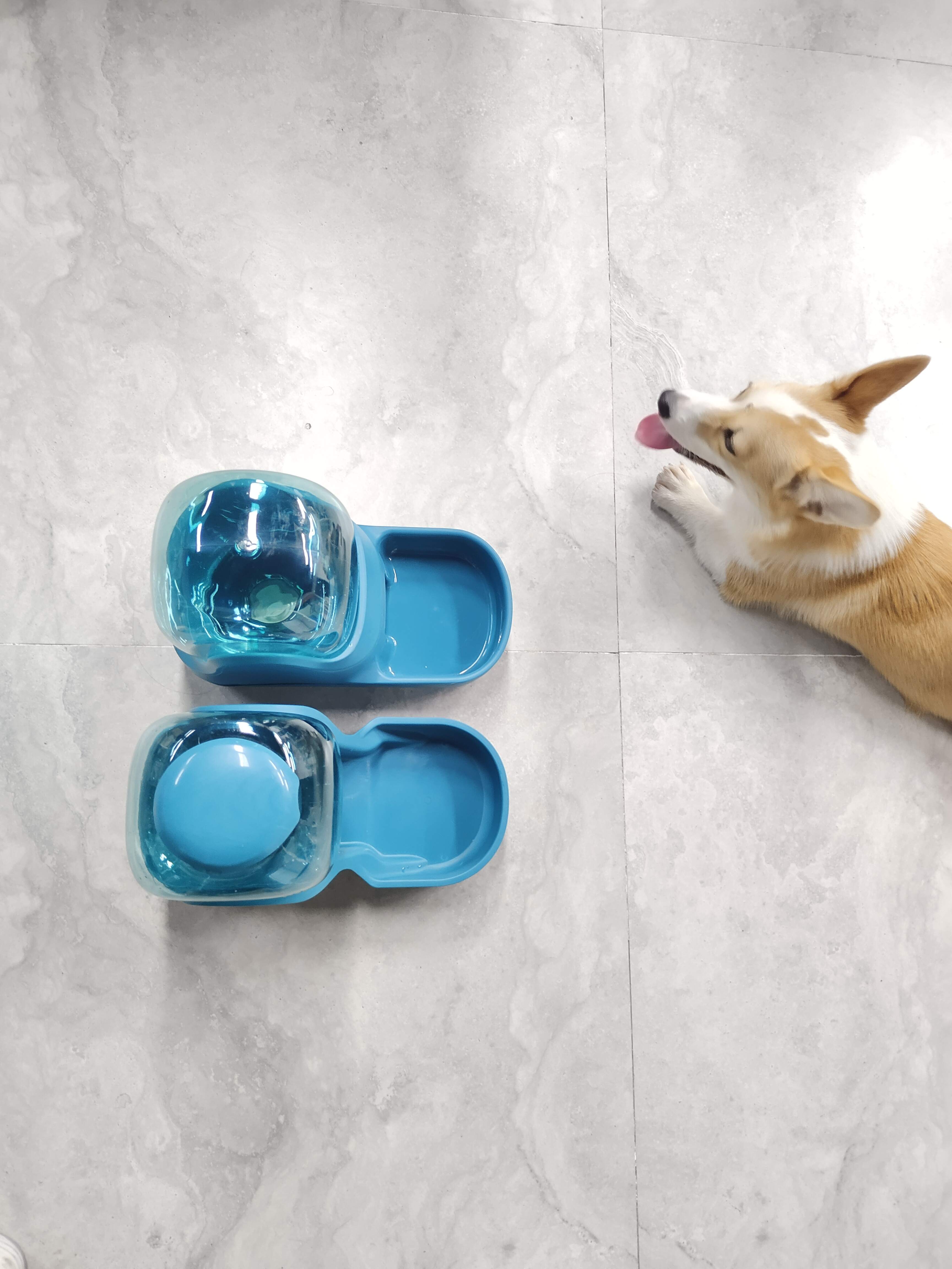 Dispensador De Comida Y Agua Para Mascota Premium De Lujo.
