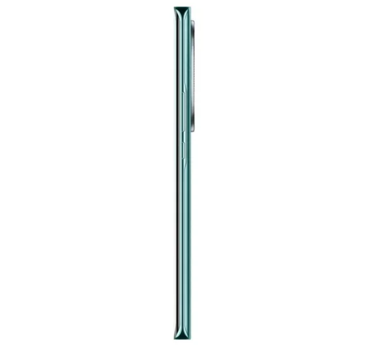 Celular HONOR MAGIC 6 LITE 8GB 256GB VERDE