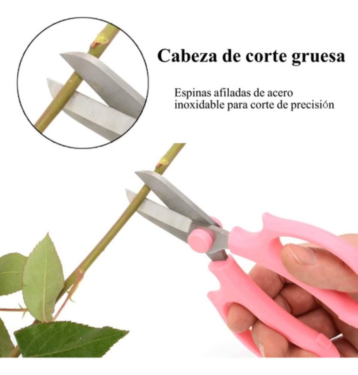 Herramientas Para Quitar Espinas De Rosa,tijeras Floristería