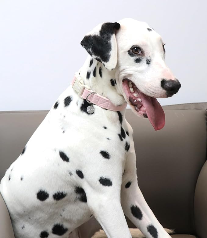 DOGWONG - Collar para perro de cáñamo de algodón, resistente y resistente, de tela natural, suave y duradera, para perros pequeños, medianos y grandes.