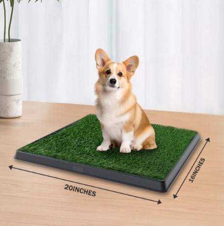 Tapete Entrenador Para Perro Mascotas Dehigh 3 Capas 51*41cm T.