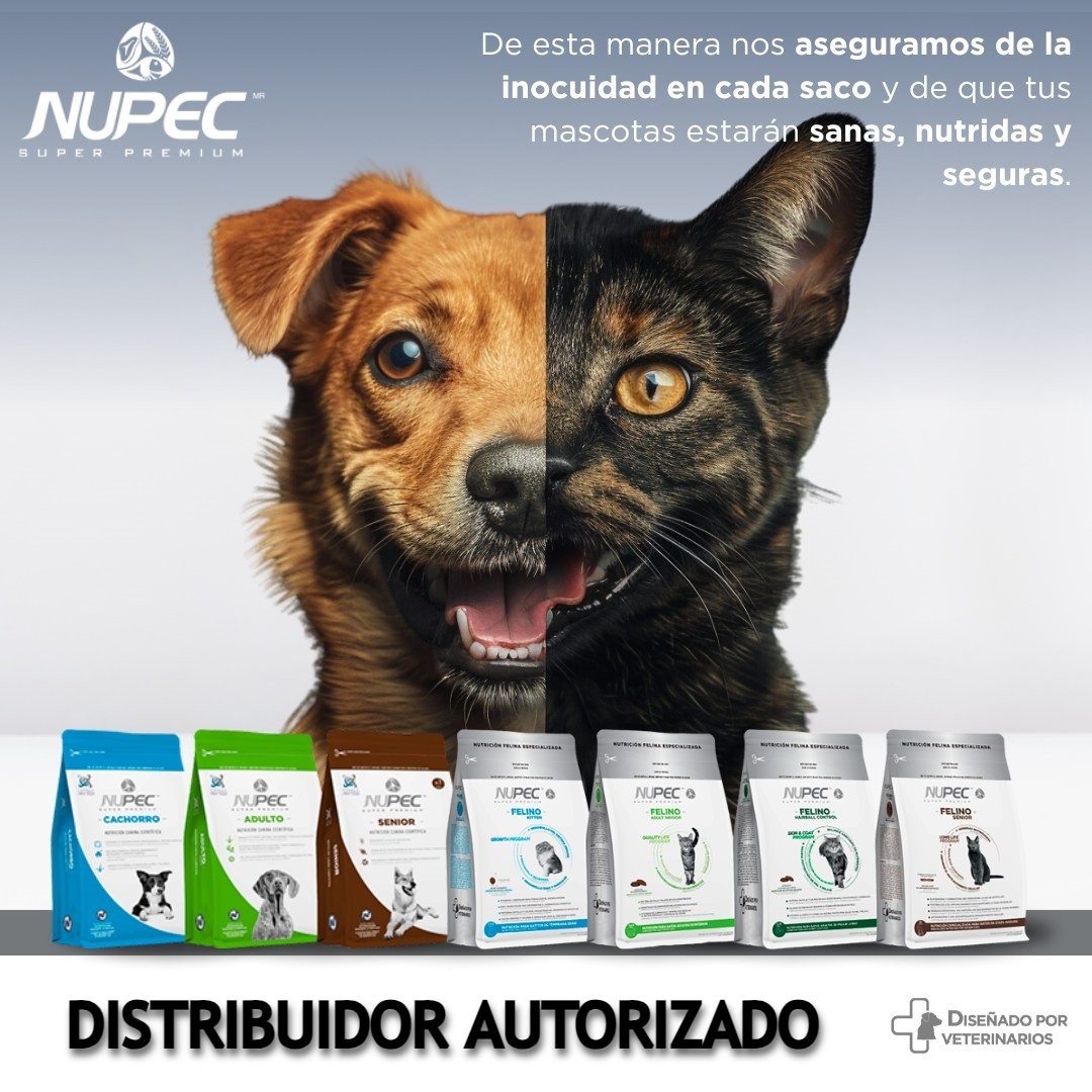  2kg Nupec Alimento Perro Croqueta Adultos Razas Pequeñas.