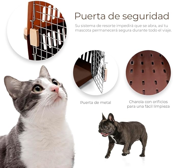 A Raganet, Jaula Transportadora para Mascotas con Puerta de Metal, Transporta Mascotas Pequeñas de hasta 5 Kg (50cm Largo X 30cm Ancho X 30cm Alto) Color Cafe.