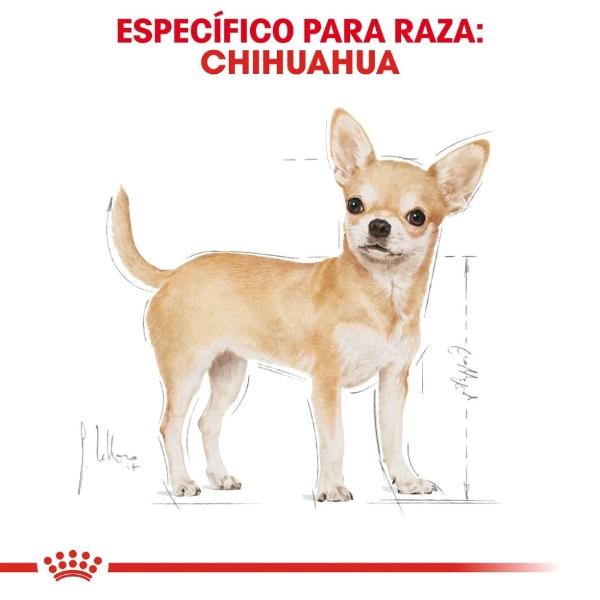 Alimento Croqueta Chihuahua Adulto 1.1Kg Royal Canin