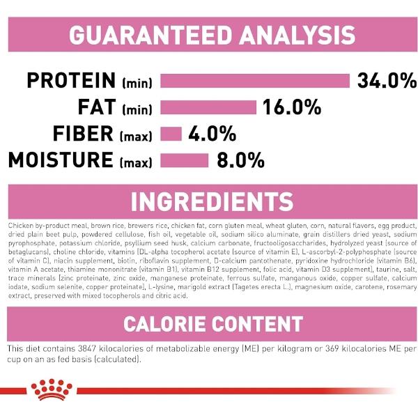 Croquetas Para Gatos Kitten 3.17 Kg Royal Canin