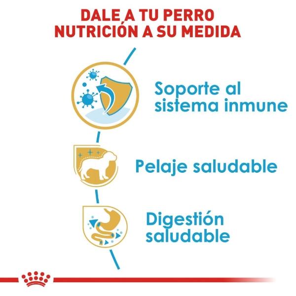 Alimento Croqueta Perro Yorkshire Cachorro 1.1Kg Royal Canin