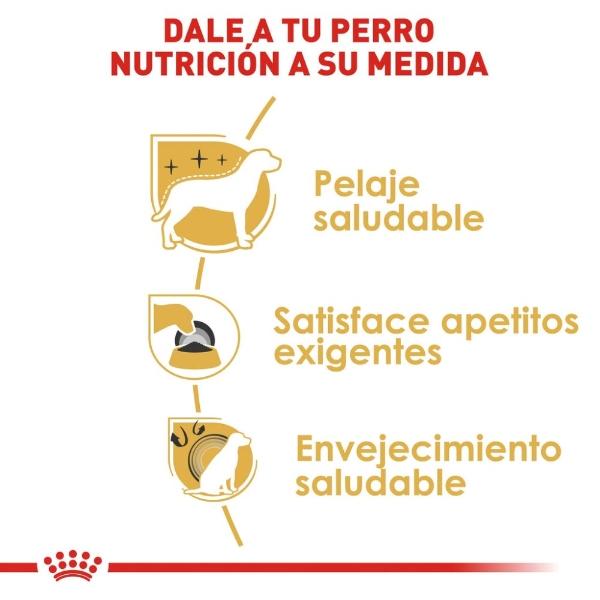 Alimento Croqueta Yorkshire Adulto 1.1Kg Royal Canin