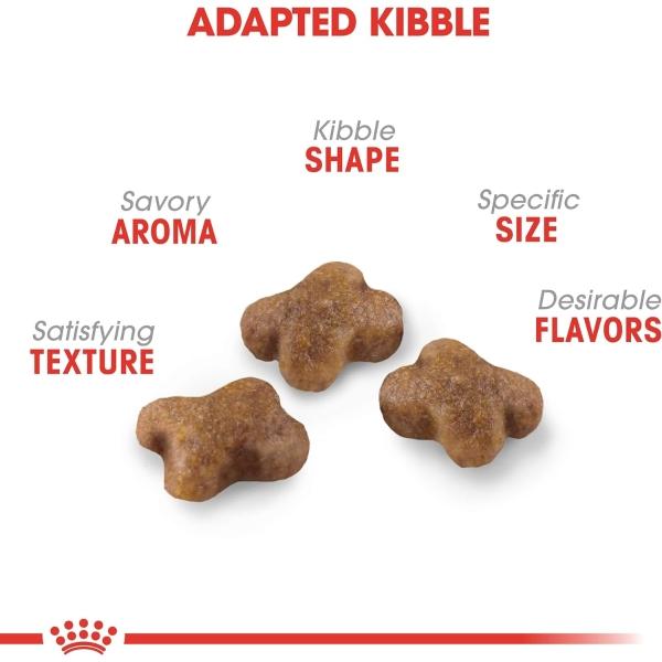 Croquetas Para Gatos Kitten 3.17 Kg Royal Canin