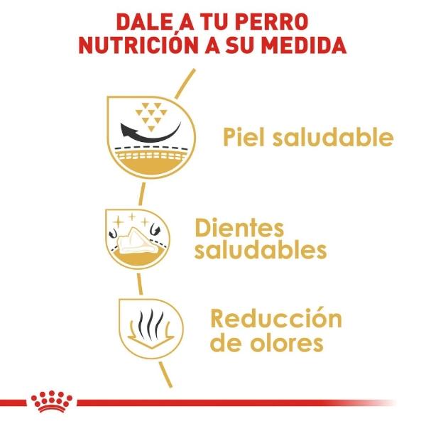 Alimento Croqueta Shih-Tzu Adulto 1.1Kg Royal Canin