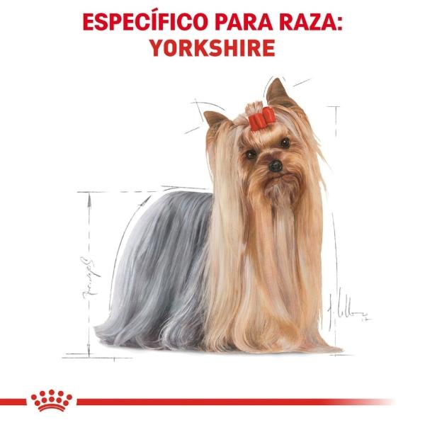 Alimento Croqueta Yorkshire Adulto 1.1Kg Royal Canin